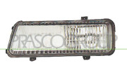 FT1504413 Mlhovka PRASCO