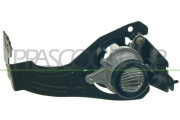 FT3404414 Mlhovka PRASCO
