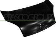 FT9073100 Kapota motoru PRASCO