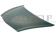 HD3203100 Kapota motoru PRASCO