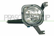 PG0414414 Mlhovka PRASCO