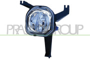 PG0414424 Mlhovka PRASCO