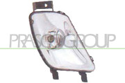 PG4244413 Mlhovka PRASCO