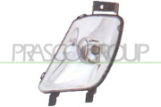 PG4244414 Mlhovka PRASCO