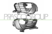 PG4302135 Kryt, mlhovka PRASCO
