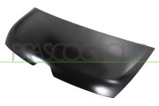 RN9543110 PRASCO kapota motora RN9543110 PRASCO