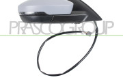 SK0307303 Vnější zpětné zrcátko PRASCO
