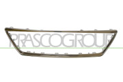 ST4282206 Rám, mřížka chladiče PremiumCertified PRASCO