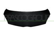 TY2013130 Kapota motoru PremiumCertified PRASCO