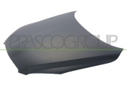 TY2873100 Kapota motoru PRASCO