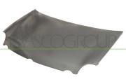 VG0213100 PRASCO kapota motora VG0213100 PRASCO