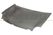 VG0213130 PRASCO kapota motora VG0213130 PRASCO