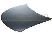 VG0523100 Kapota motoru PRASCO