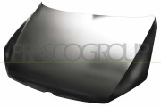 VG0553130 PRASCO kapota motora VG0553130 PRASCO