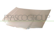 VG0813130 Kapota motoru PremiumCertified PRASCO