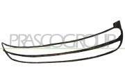 VG4202305 Rám, mřížka chladiče PRASCO