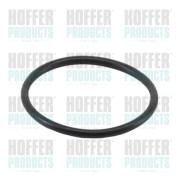 01669 Těsnění, termostat HOFFER
