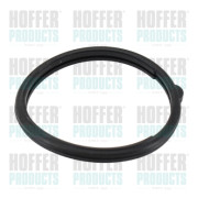 01679 Těsnění, termostat HOFFER