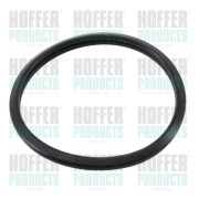 01690 Těsnění, termostat HOFFER