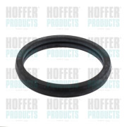 01694 Těsnění, termostat HOFFER