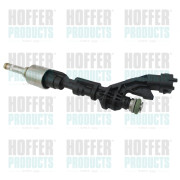 H75114298 Vstřikovací ventil HOFFER