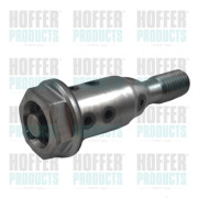 8091556 HOFFER centrálny ventil pre nastavovanie vačkového hriadeľa 8091556 HOFFER