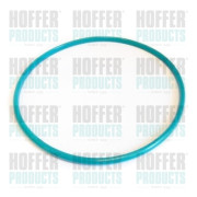 GSK01 Těsnění, víčko palivové nádrže HOFFER