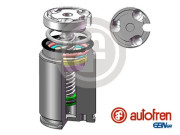 D02545LK Píst, brzdový třmen AUTOFREN SEINSA