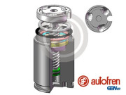 D02545RK Píst, brzdový třmen AUTOFREN SEINSA