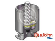 D02554RK Píst, brzdový třmen AUTOFREN SEINSA