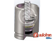 D025742K Píst, brzdový třmen AUTOFREN SEINSA