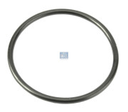 1.17100 Těsnicí kroužek DT Spare Parts