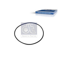 1.24312 Těsnicí kroužek DT Spare Parts