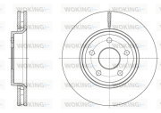 D61668.10 Brzdový kotouč WOKING