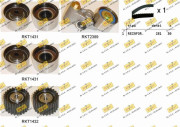RKTK1255 ozubení,sada rozvodového řemene REPKIT