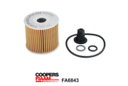 FA6843 Olejový filtr CoopersFiaam