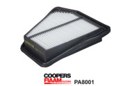 PA8001 Vzduchový filtr CoopersFiaam