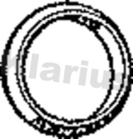 410333 Těsnicí kroužek, výfuková trubka KLARIUS