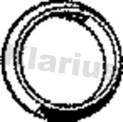 410148 Těsnicí kroužek, výfuková trubka KLARIUS