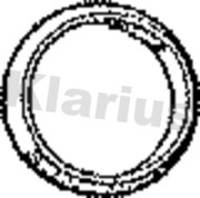 410191 Těsnicí kroužek, výfuková trubka KLARIUS
