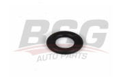 BSG 30-116-103 BSG tesniaci krúżok drżiaka trysky BSG 30-116-103 BSG