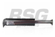 BSG 40-980-007 BSG pneumatická prużina, batożinový/nákladný priestor BSG 40-980-007 BSG