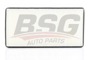 BSG 60-145-002 Filtr, vzduch v interiéru BSG
