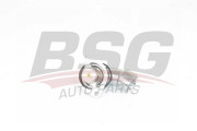 BSG 65-125-007 Termostat, chladivo BSG