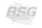 BSG 65-550-008 Vyrovnávací nádoba, chladicí kapalina BSG