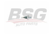 BSG 90-840-039 BSG snímač stavu motorového oleja BSG 90-840-039 BSG
