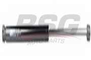 BSG 90-980-015 Pneumaticka pruzina, kapota motoru BSG