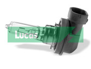 LLX9005XLPX2 Zarovka, dalkovy svetlomet Lucas LUCAS