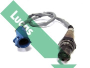 LEB5241 Lambda sonda LUCAS