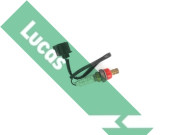 LEB799 Lambda sonda Lucas LUCAS